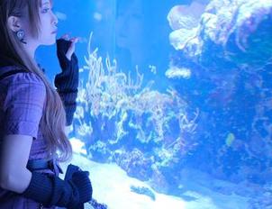 说真的，月城委员会的黑暗修女写真，感觉在耍我们。