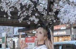 明日方舟的流一_喵喵喵喵喵喵，高清在手，随意窥探